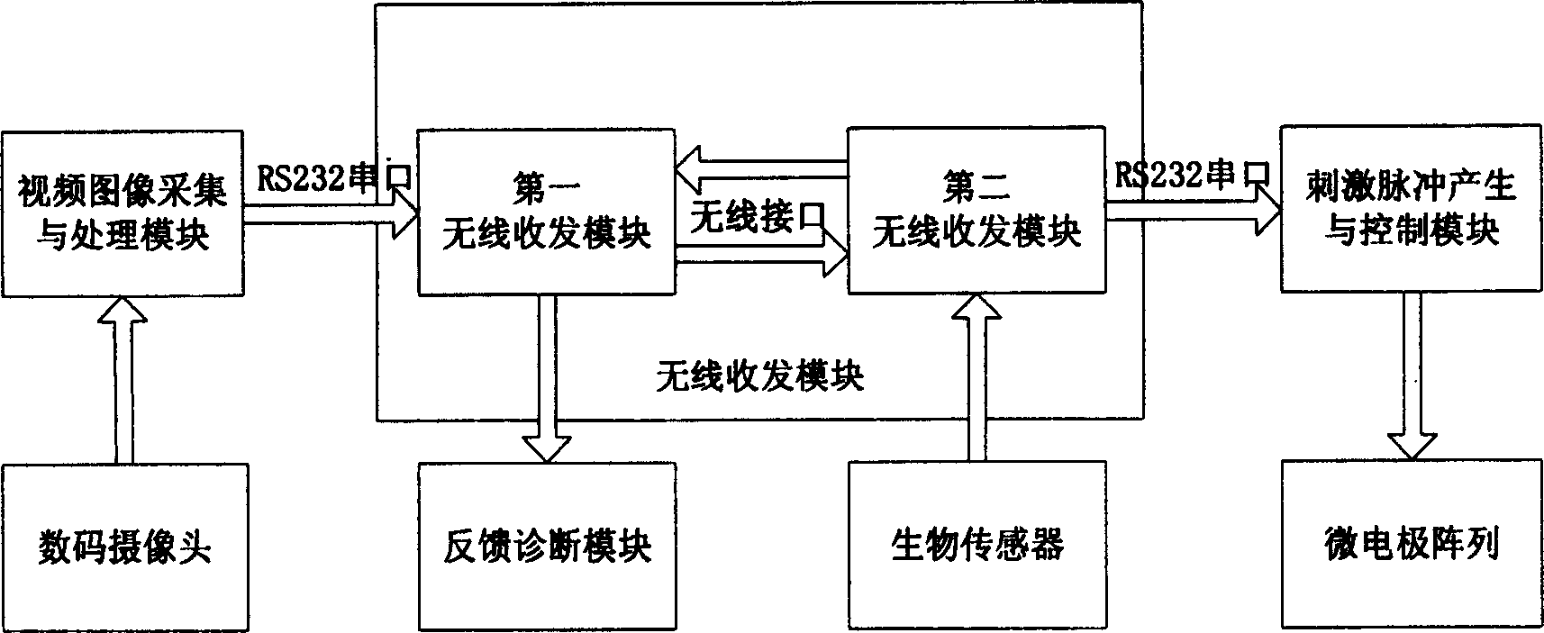 Artificial vision emulation and experiment system