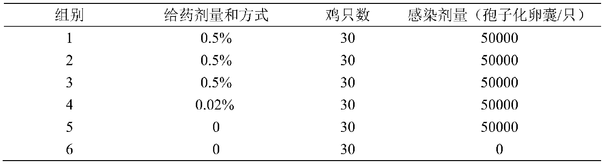 Eupatorium adenophorum composition for treating chicken coccidiosis and preparation method thereof