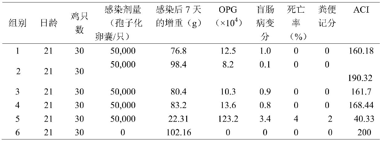 Eupatorium adenophorum composition for treating chicken coccidiosis and preparation method thereof