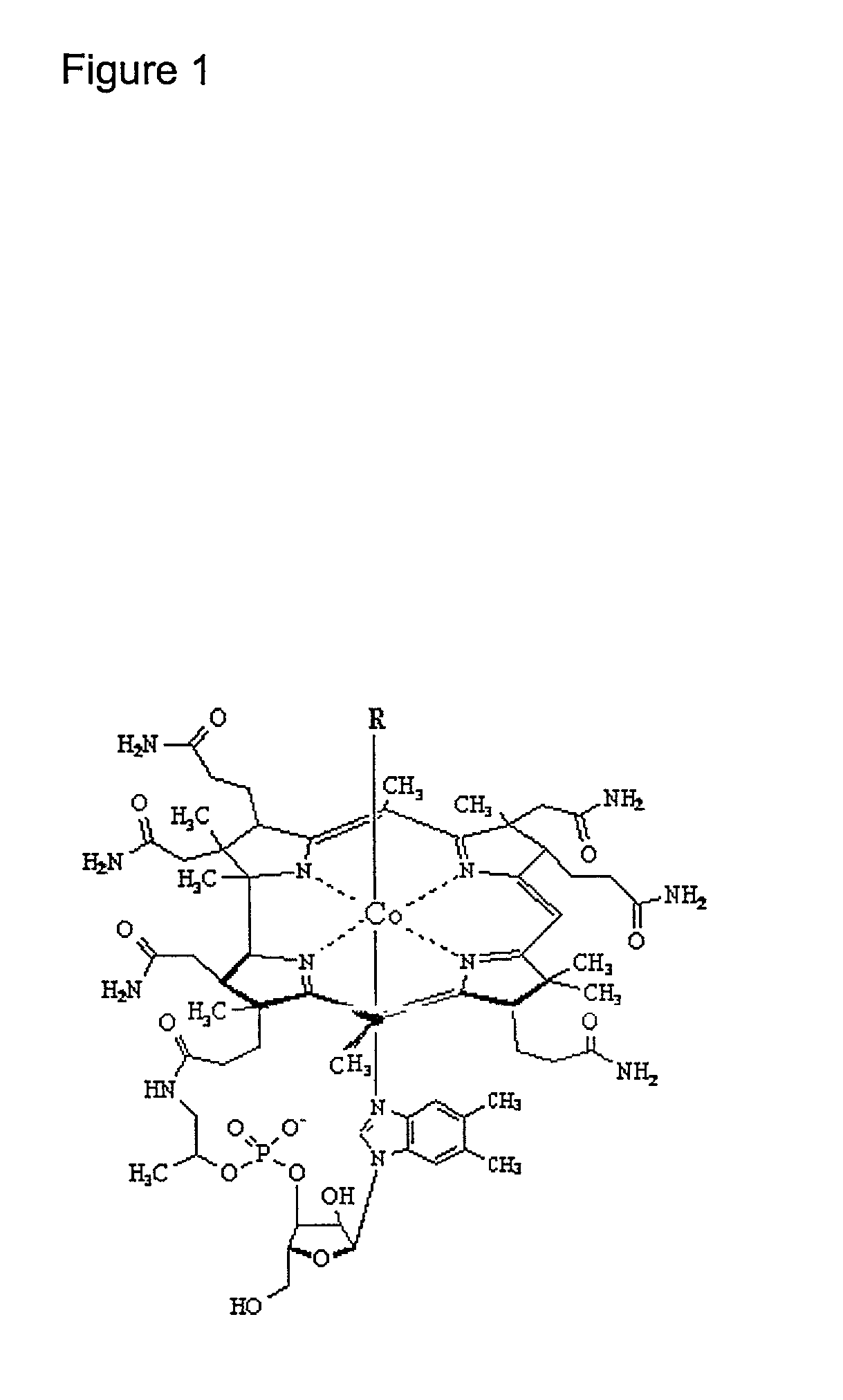 B complex vitamin compositions that protect against cellular damage caused by ultraviolet light