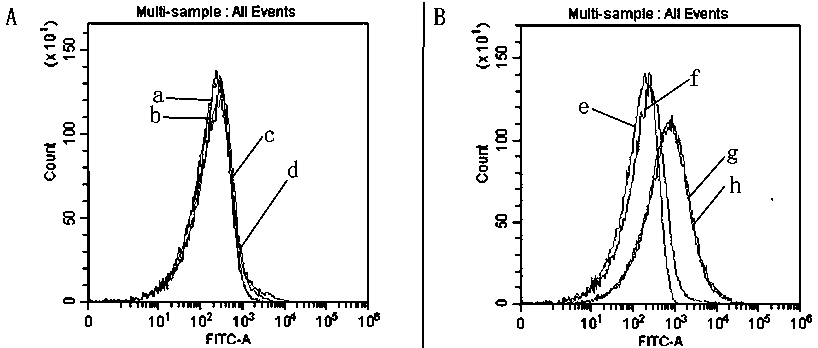 Extracellular vesicle surface protein specific aptamer screening technology based on magnetic-activated cell sorting