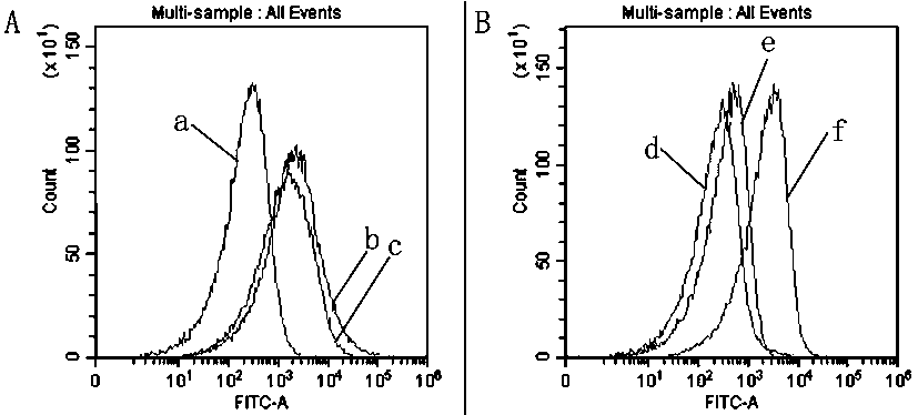 Extracellular vesicle surface protein specific aptamer screening technology based on magnetic-activated cell sorting