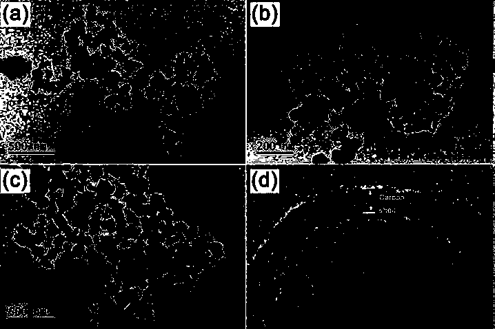 Water electrolysis hydrogen production catalyst and preparation method thereof