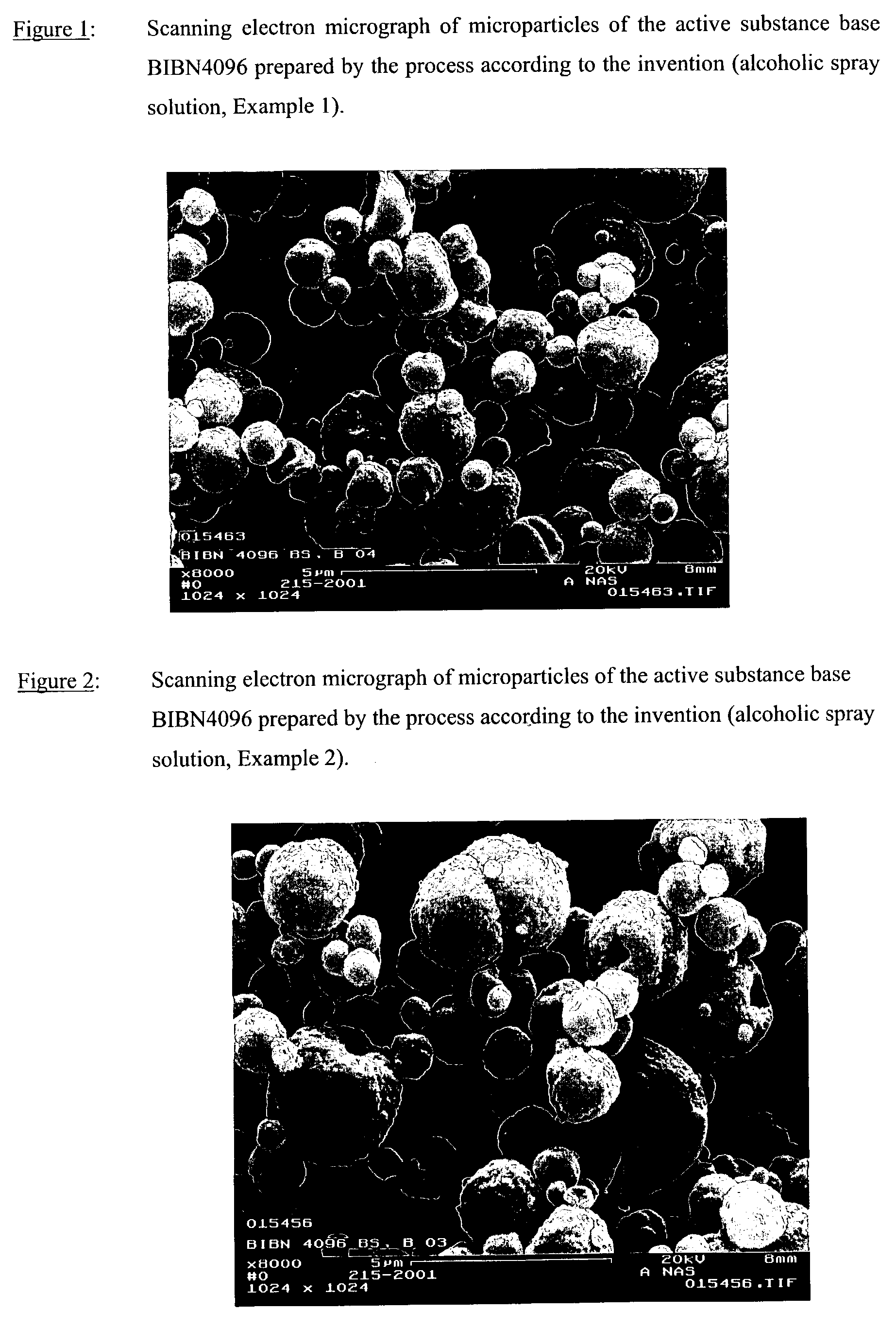 Inhalation powder containing the CGRP antagonist BIBN4096 and process for the preparation thereof