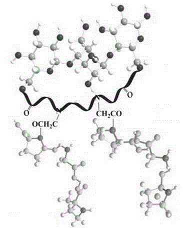 Cellulose chemical crosslinking based gelatin film and preparation method thereof