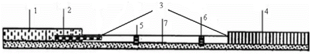 Test strip for testing ochratoxin A and application of test strip