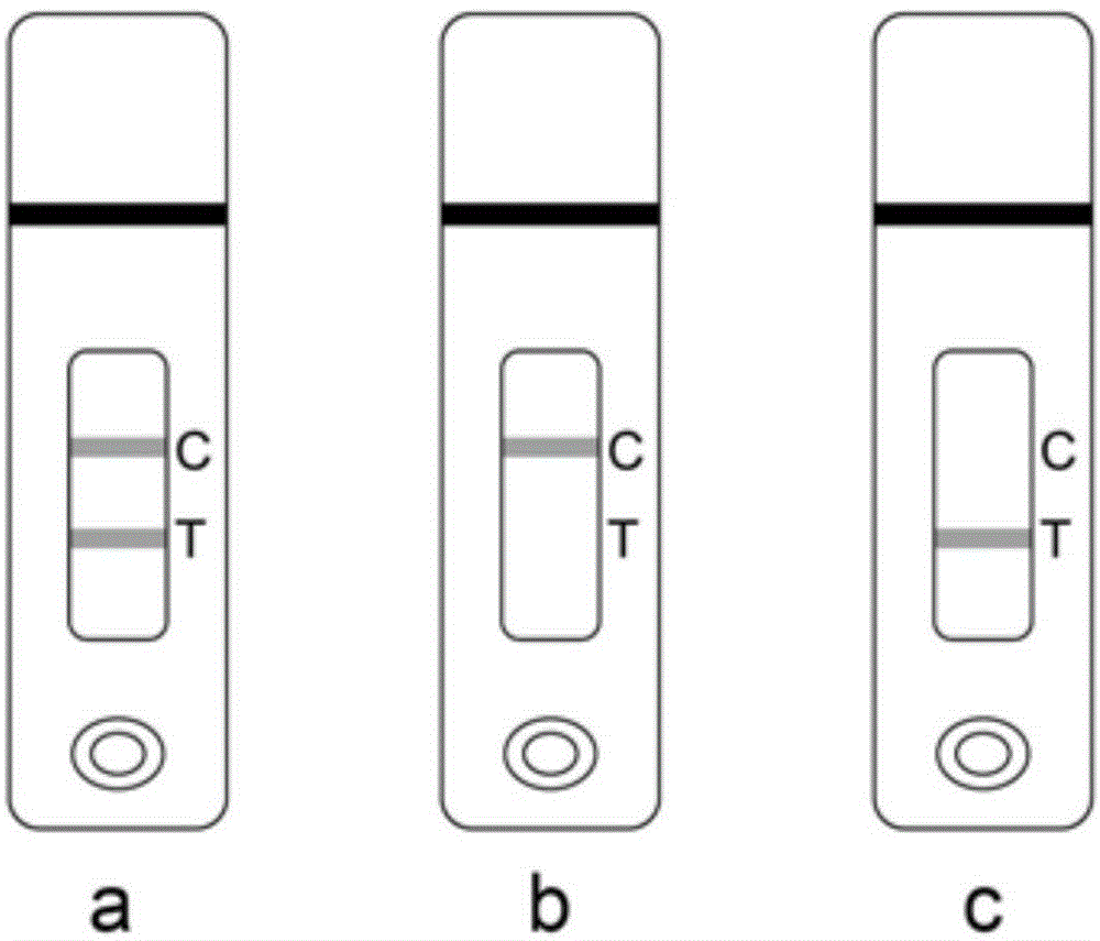 Test strip for testing ochratoxin A and application of test strip