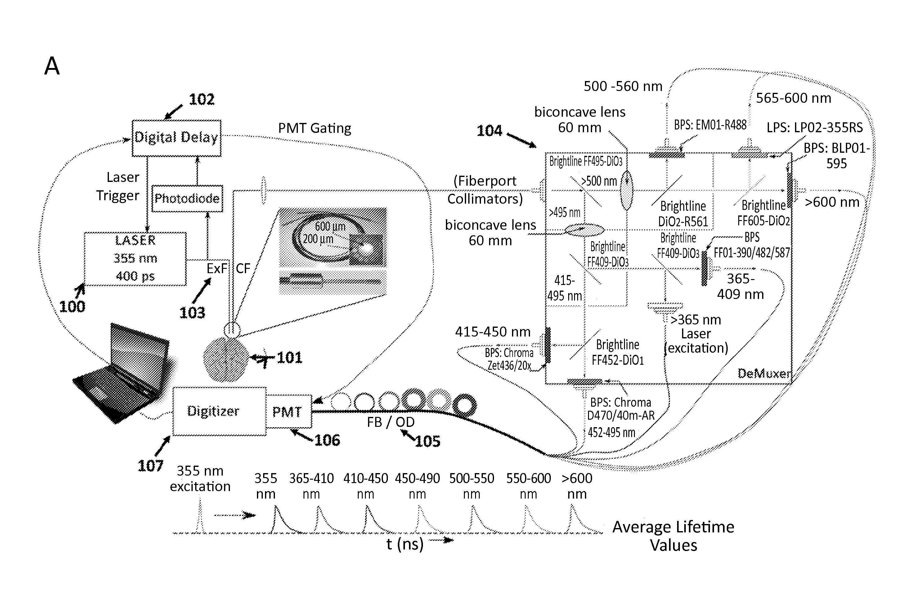 Time-resolved laser-induced fluorescence spectroscopy systems and uses thereof