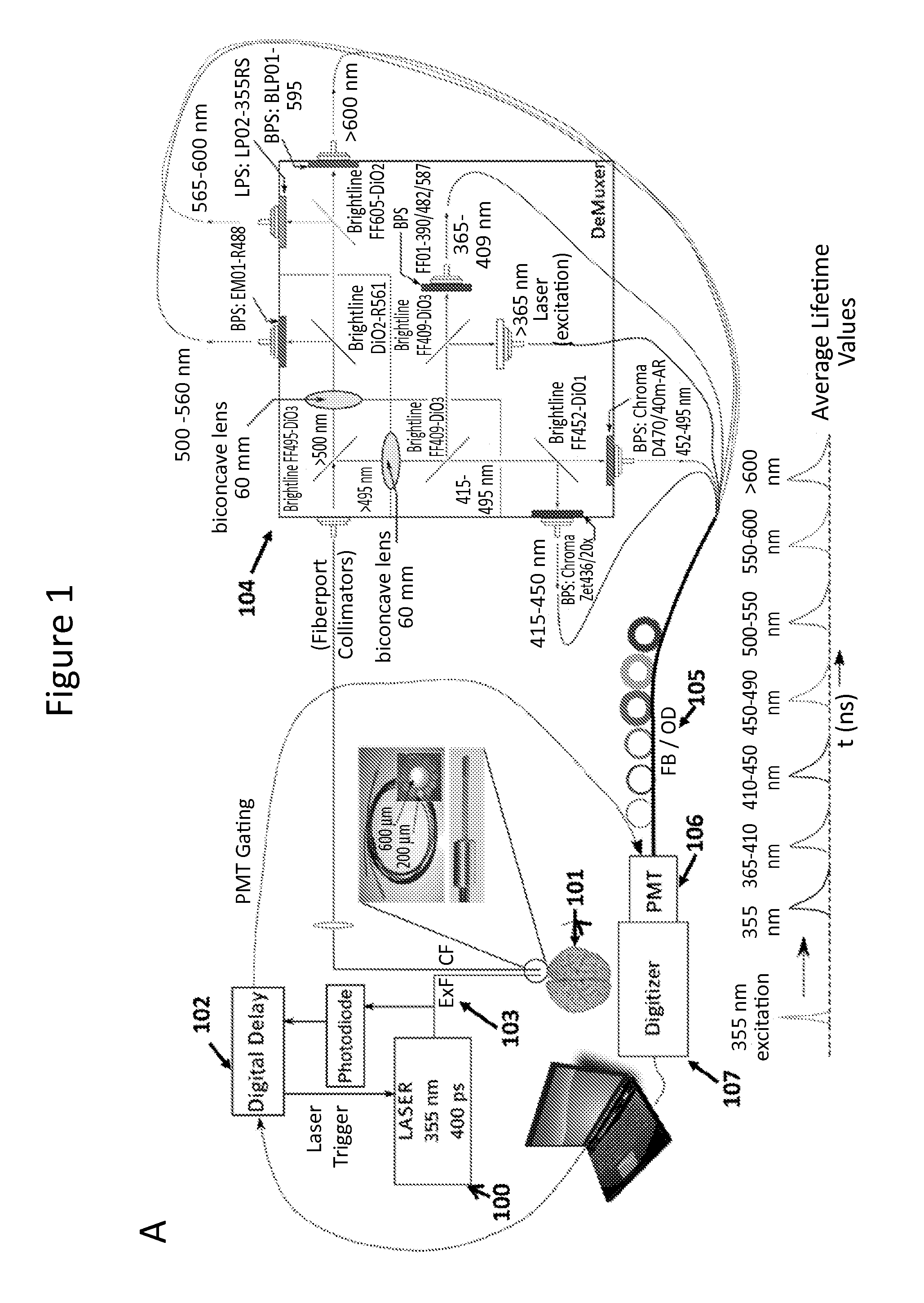 Time-resolved laser-induced fluorescence spectroscopy systems and uses thereof