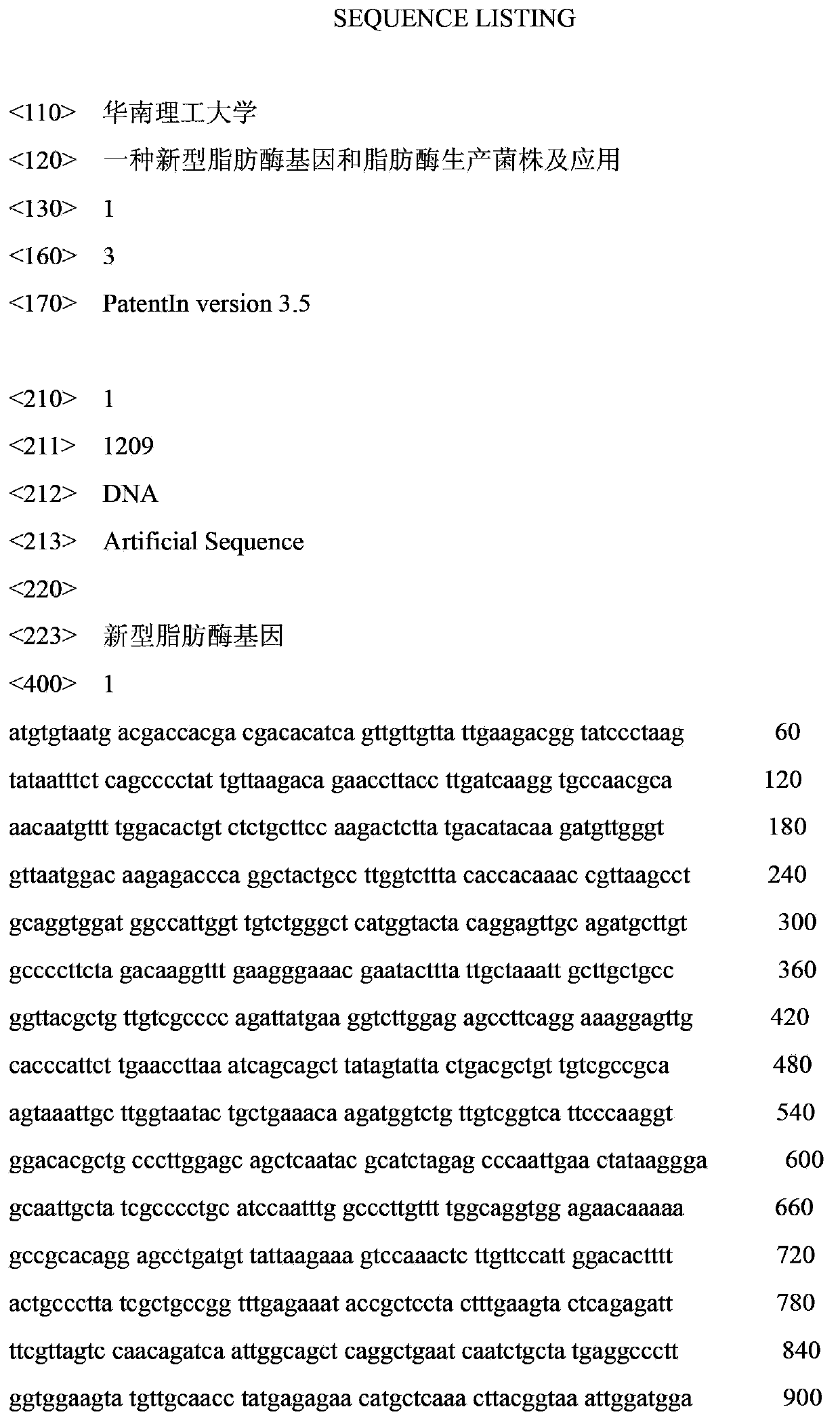 Novel lipase gene, lipase production strain and application