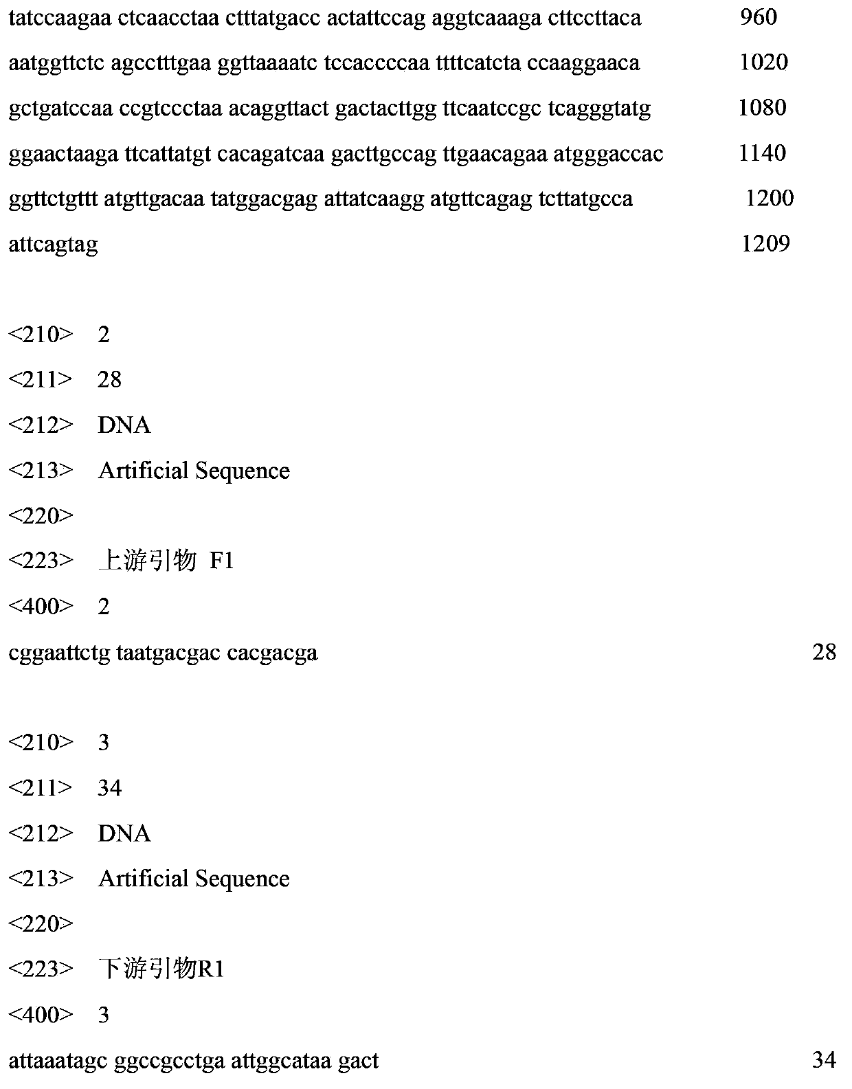 Novel lipase gene, lipase production strain and application