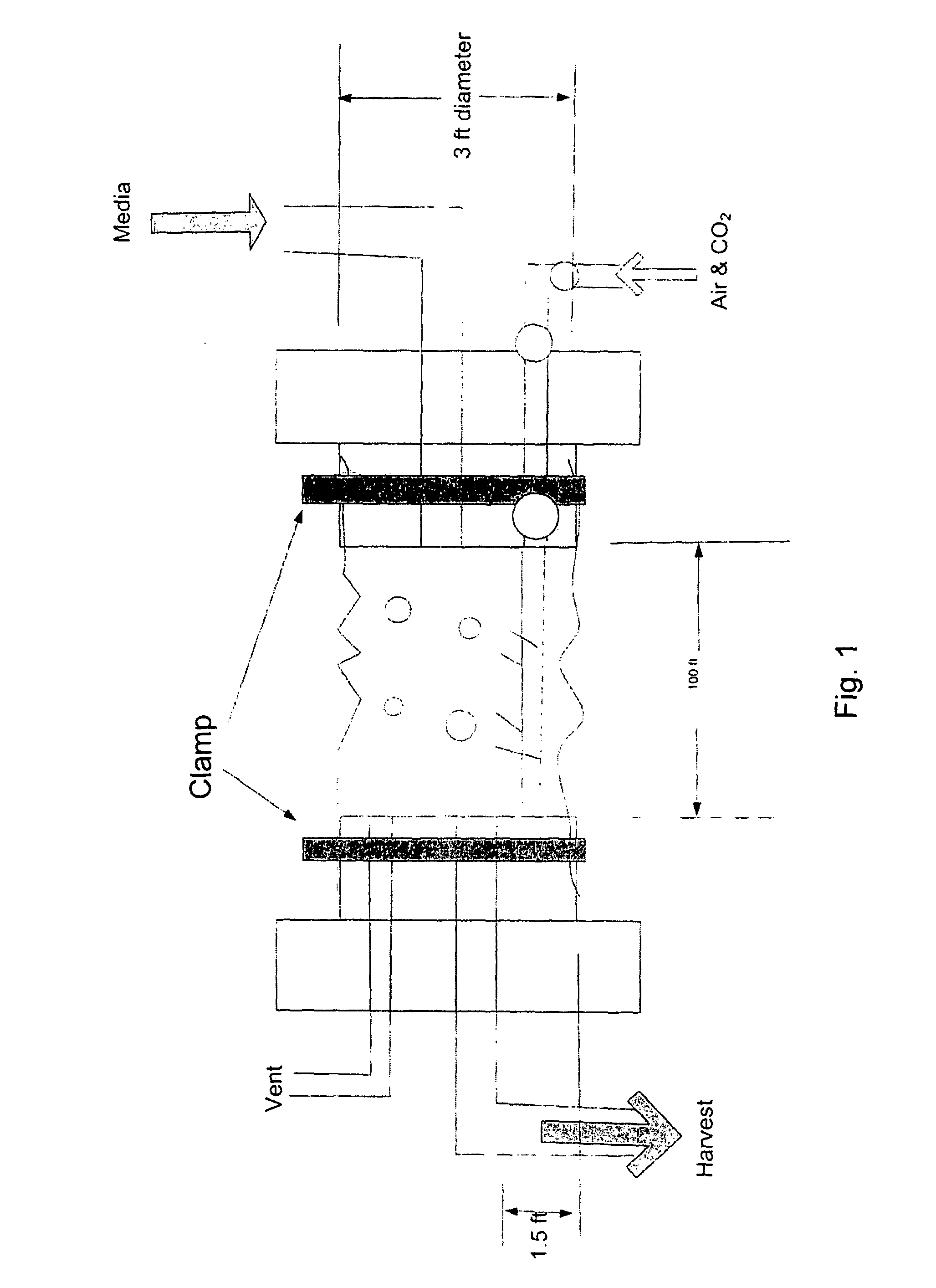 Tubular Microbial Growth System