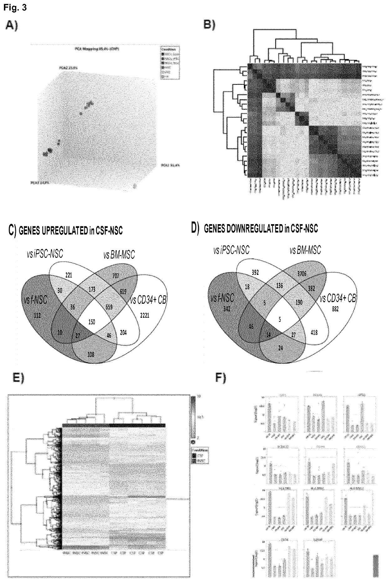 Hemorrhagic cerebrospinal fluid neural stem cells