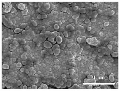 Polyphosphoester polymer, preparation method thereof, modified porous silicon nanoparticles and preparation method and application of modified porous silicon nanoparticles