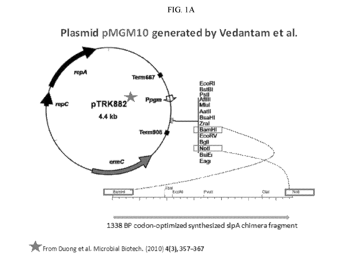 Compositions comprising recombinant probiotic bacteria and methods of use thereof