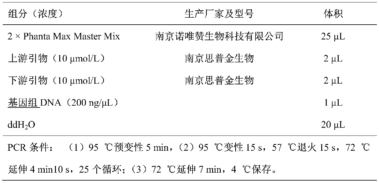 A kind of lysine decarboxylase mutant, its coding gene and its expression and application