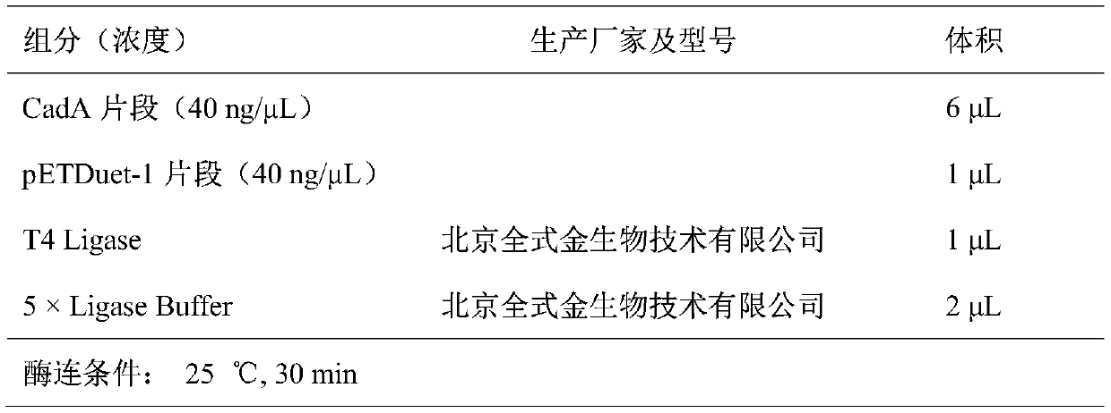 A kind of lysine decarboxylase mutant, its coding gene and its expression and application