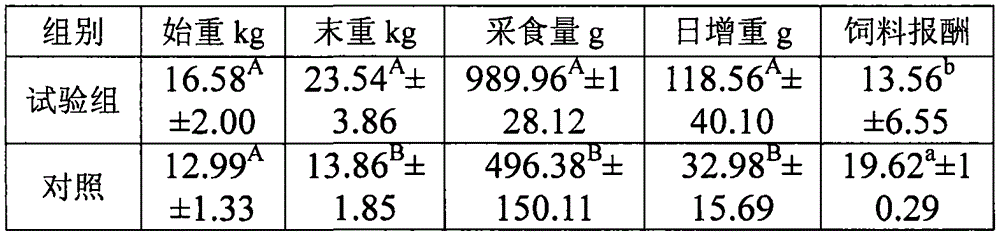 Full-time pellet grain feed for sheep and preparation method of full-time pellet grain feed