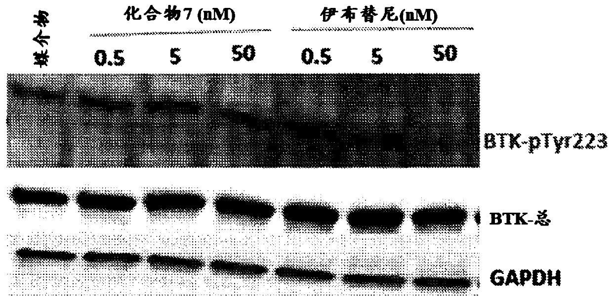 Methods for treating patients with hematologic malignancies