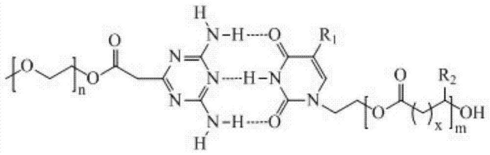 Biodegradable supramolecular block copolymer and preparation method of copolymer micelle