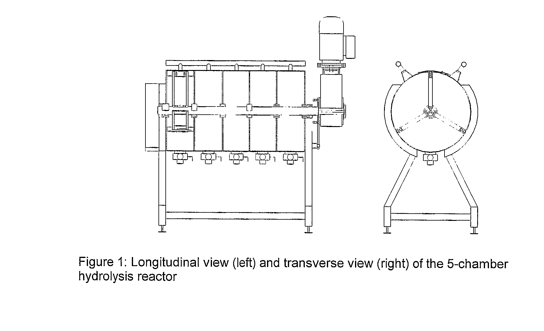 Enzymatic Hydrolysis of Biomasses Having a High Dry Matter (Dm) Content