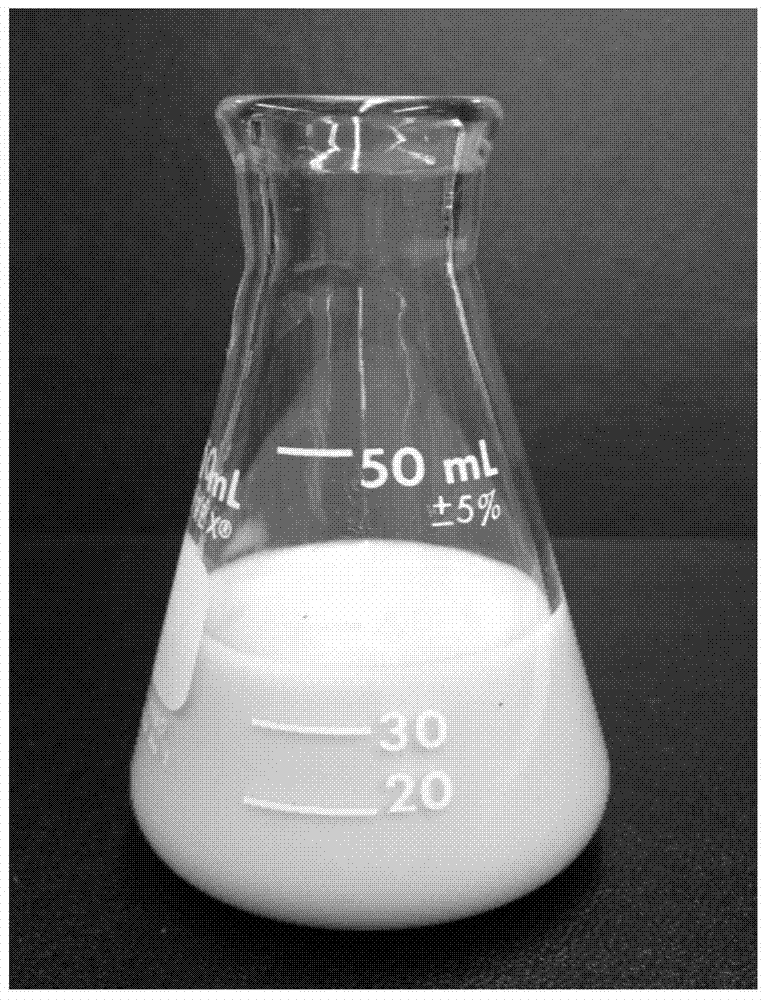 Nano fishbone product as well as preparation method and application of nano fishbone product