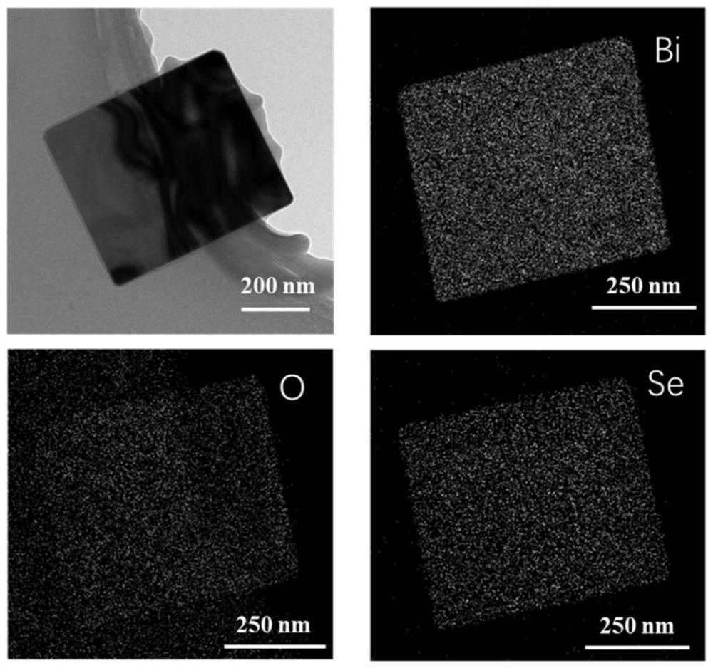 Self-supporting two-dimensional selenium oxide nanosheet array and preparation method thereof