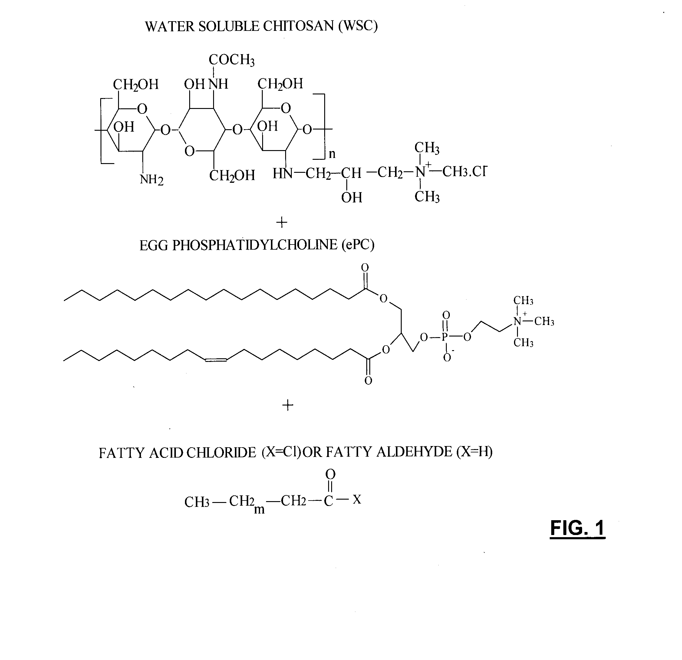 Injectable polymer-lipid blend for localized drug delivery