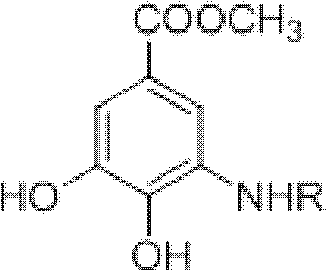 Method for preparing aryl alkyl amine compounds with 3-dehydrogenation methyl shikimate