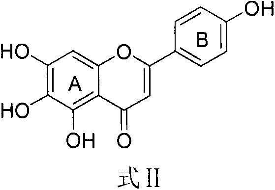 Scutellarein derivative and preparation method and application thereof