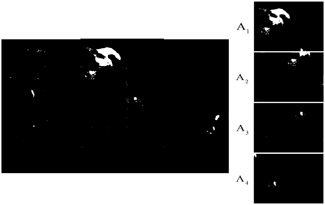 A target tracking method based on depth feature and average peak correlation energy