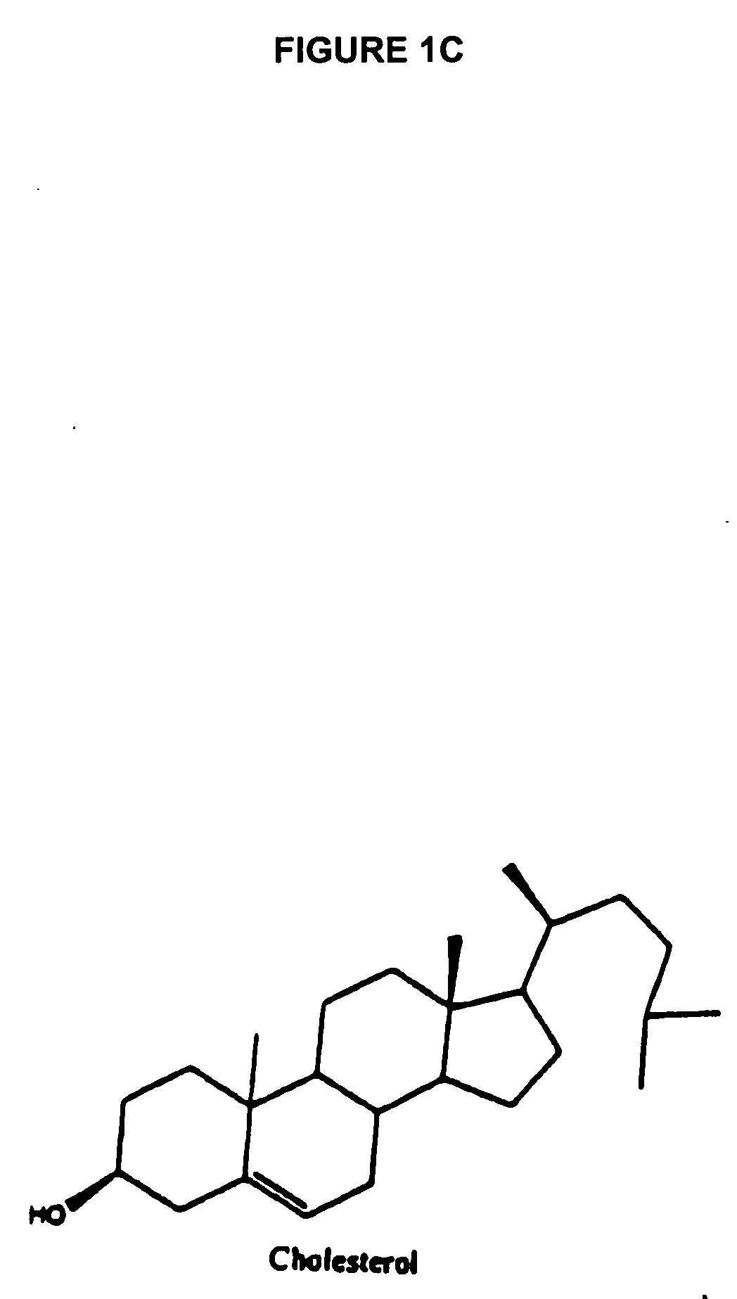 Fluorescence energy transfer probes with stabilized conformations