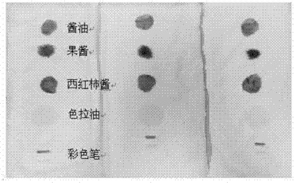 Stain removing composition and washing article