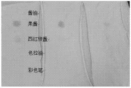 Stain removing composition and washing article