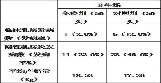 Dairy cow mammitis staphylococcus aureus-Escherichia coli bigeminy polyvalent vaccine and preparation method thereof