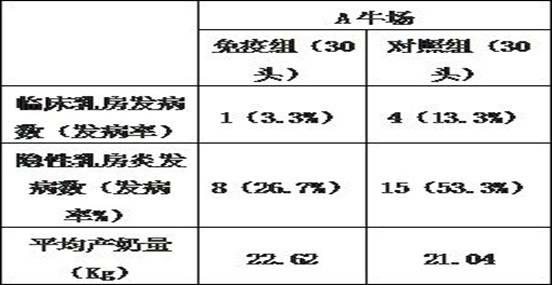 Dairy cow mammitis staphylococcus aureus-Escherichia coli bigeminy polyvalent vaccine and preparation method thereof