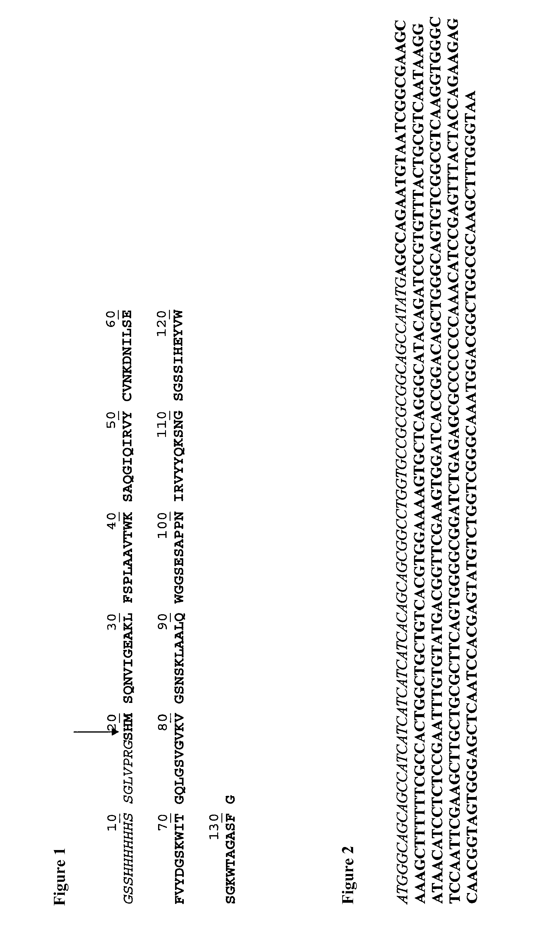 Peptides and uses thereof