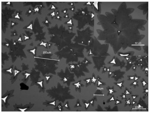 Petal-shaped molybdenum disulfide two-dimensional crystal material as well as preparation method and application thereof