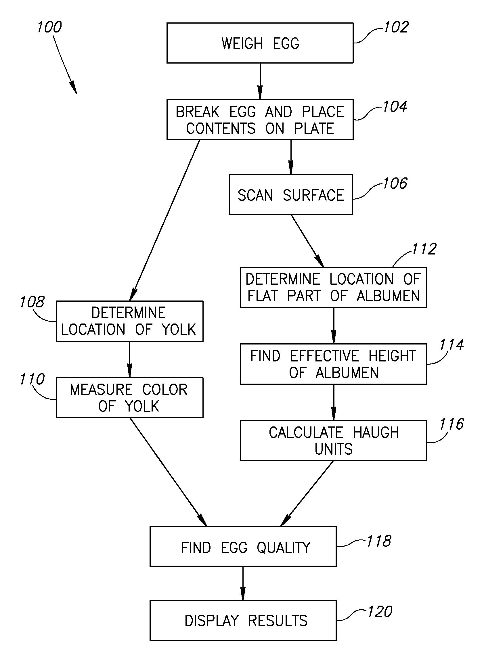 Egg Quality Measurement