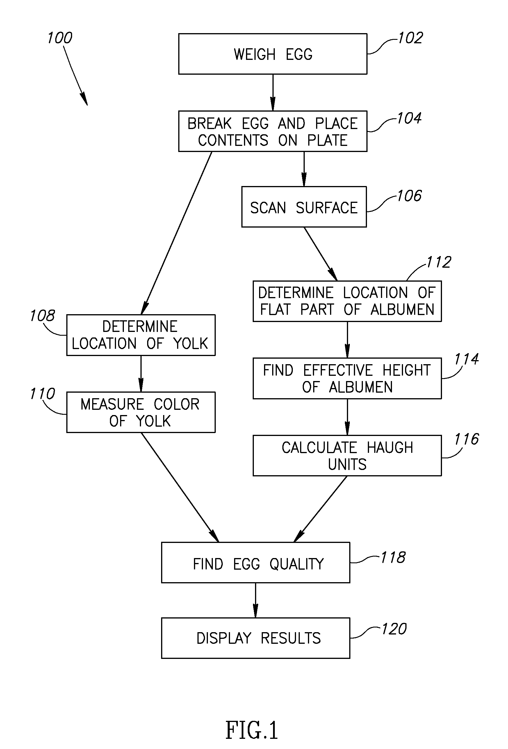 Egg Quality Measurement