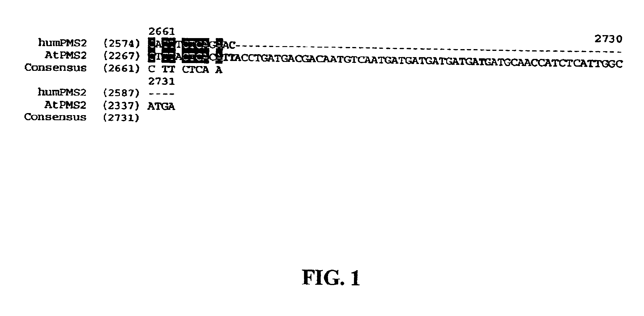 Method for generating hypermutable plants