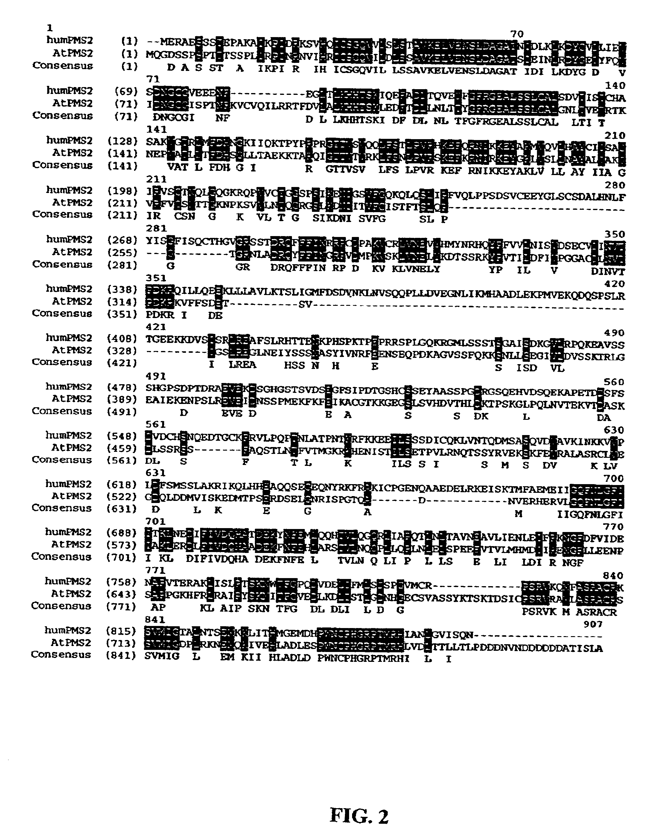 Method for generating hypermutable plants