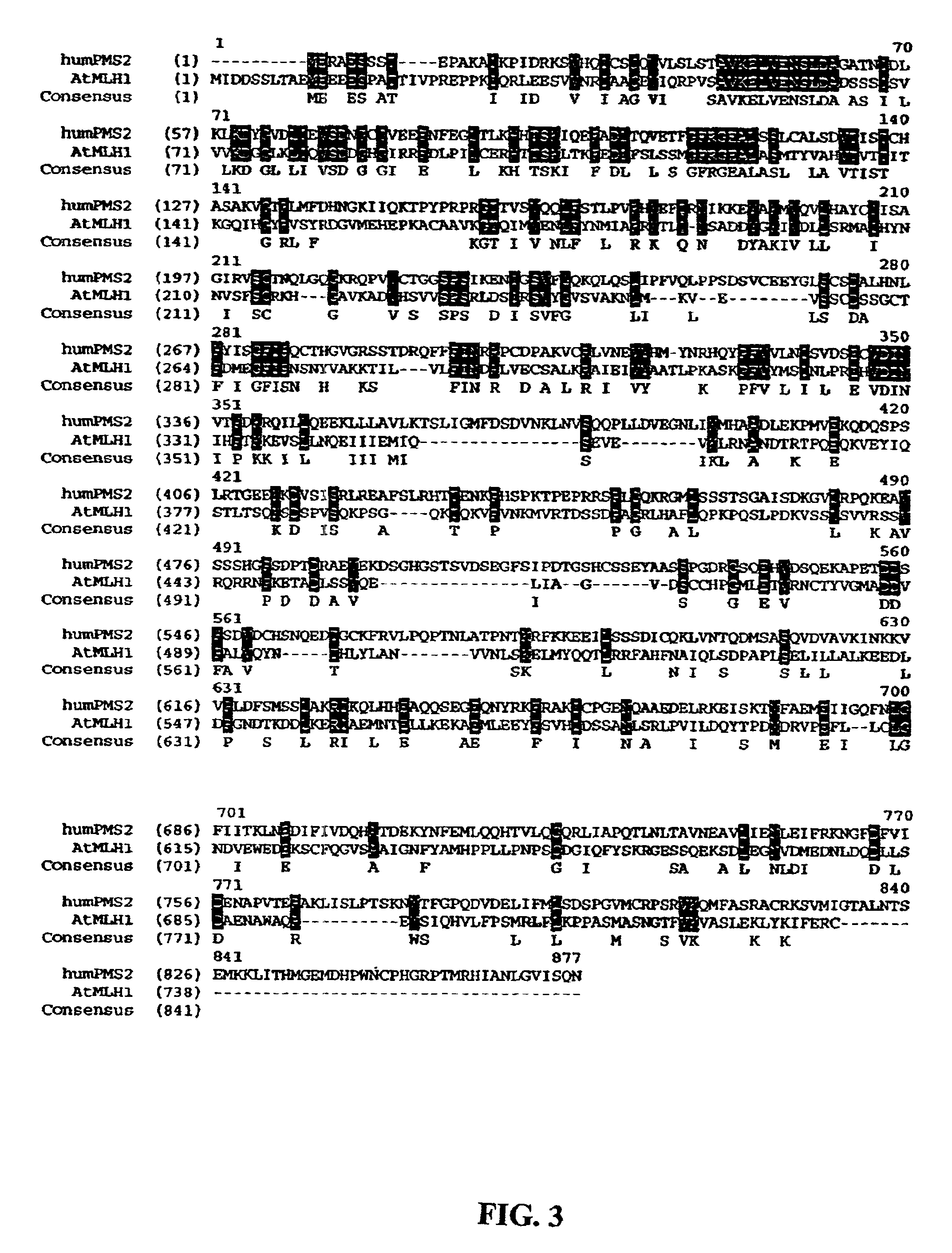 Method for generating hypermutable plants