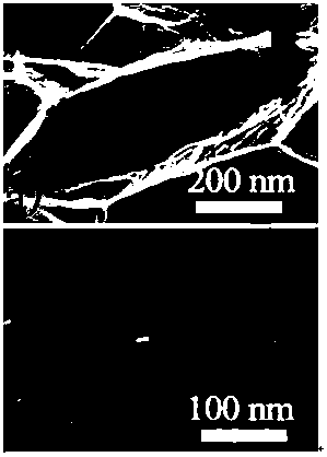 Nitrogen-doped self-shrinking 3D graphene for capacitive deionization electrode and preparation method thereof