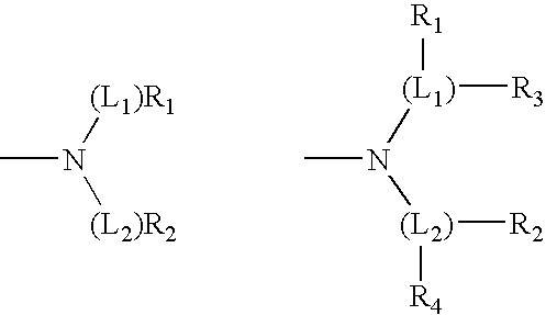 Cleaning and/or treatment compositions comprising a xyloglucan conjugate