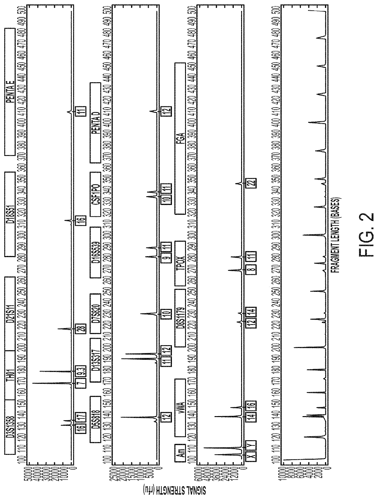 Systems and Methods for Rapid Nucleic Acid Extraction, Purification and Analysis from Semen