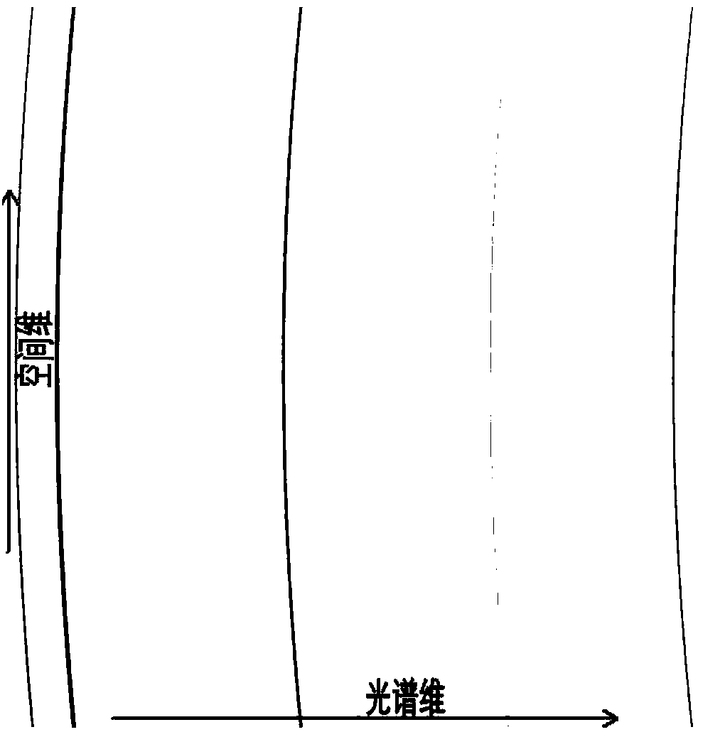 VPH transmissive spectrometer spectral line bend correction system