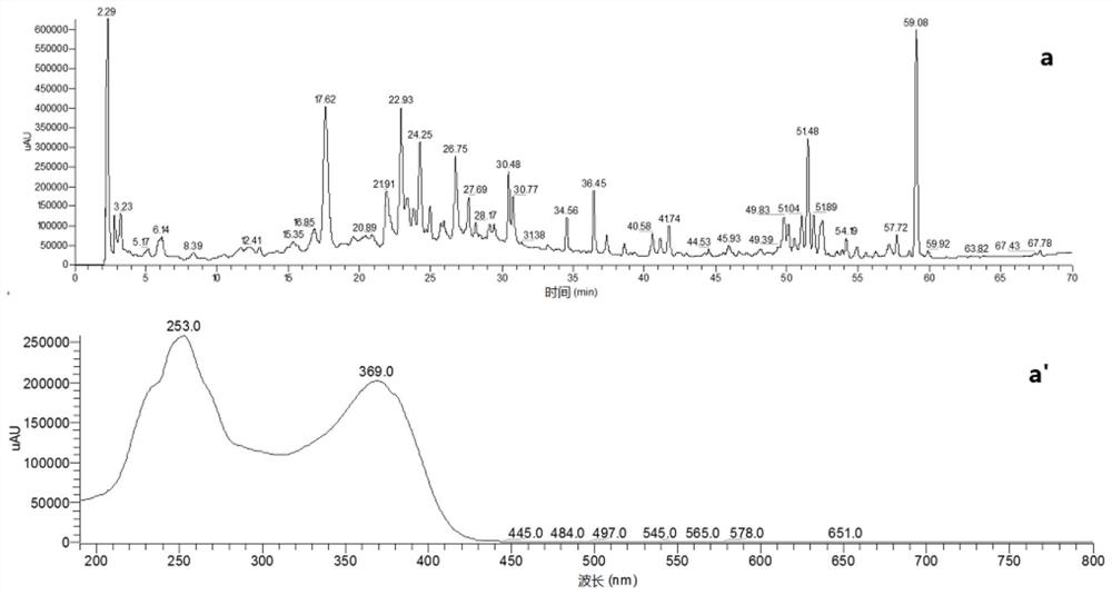 Pharmaceutical composition and preparation method and application thereof