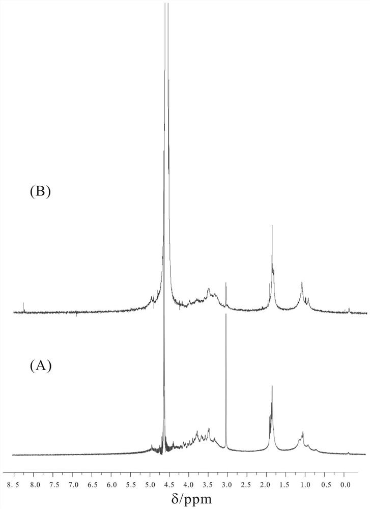 Vaccine containing capsular polysaccharide of type 5 streptococcus pneumoniae and preparation method thereof