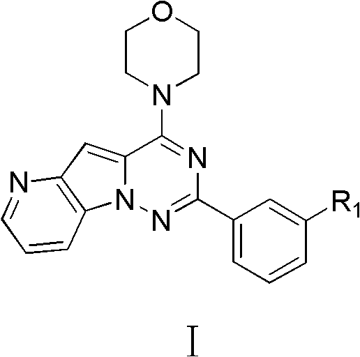 Pyridopyrrole triazine compound, its preparation method and use